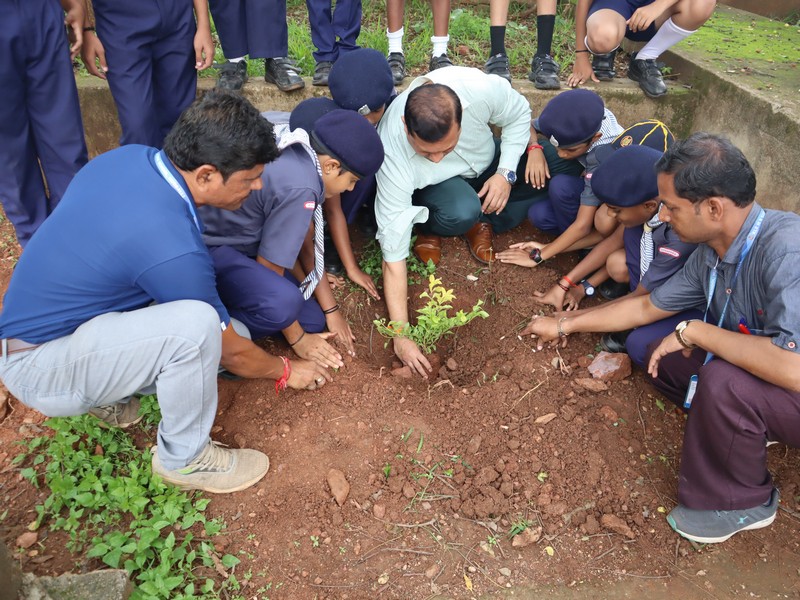 One Step, One Sapling, One Earth: Beat Plastic Pollution 🌍🚯🌱