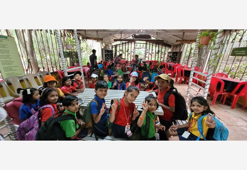 Cool Waves and Endless Fun: A Day at Eco Village, Dharwad!