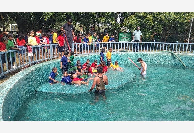 Cool Waves and Endless Fun: A Day at Eco Village, Dharwad!